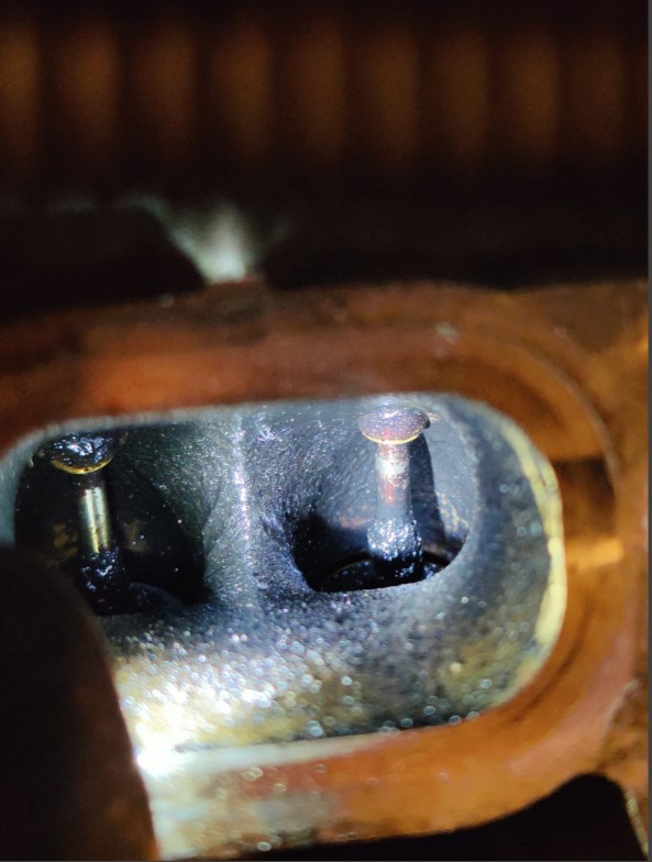 imukanavien pähkinä puhallus